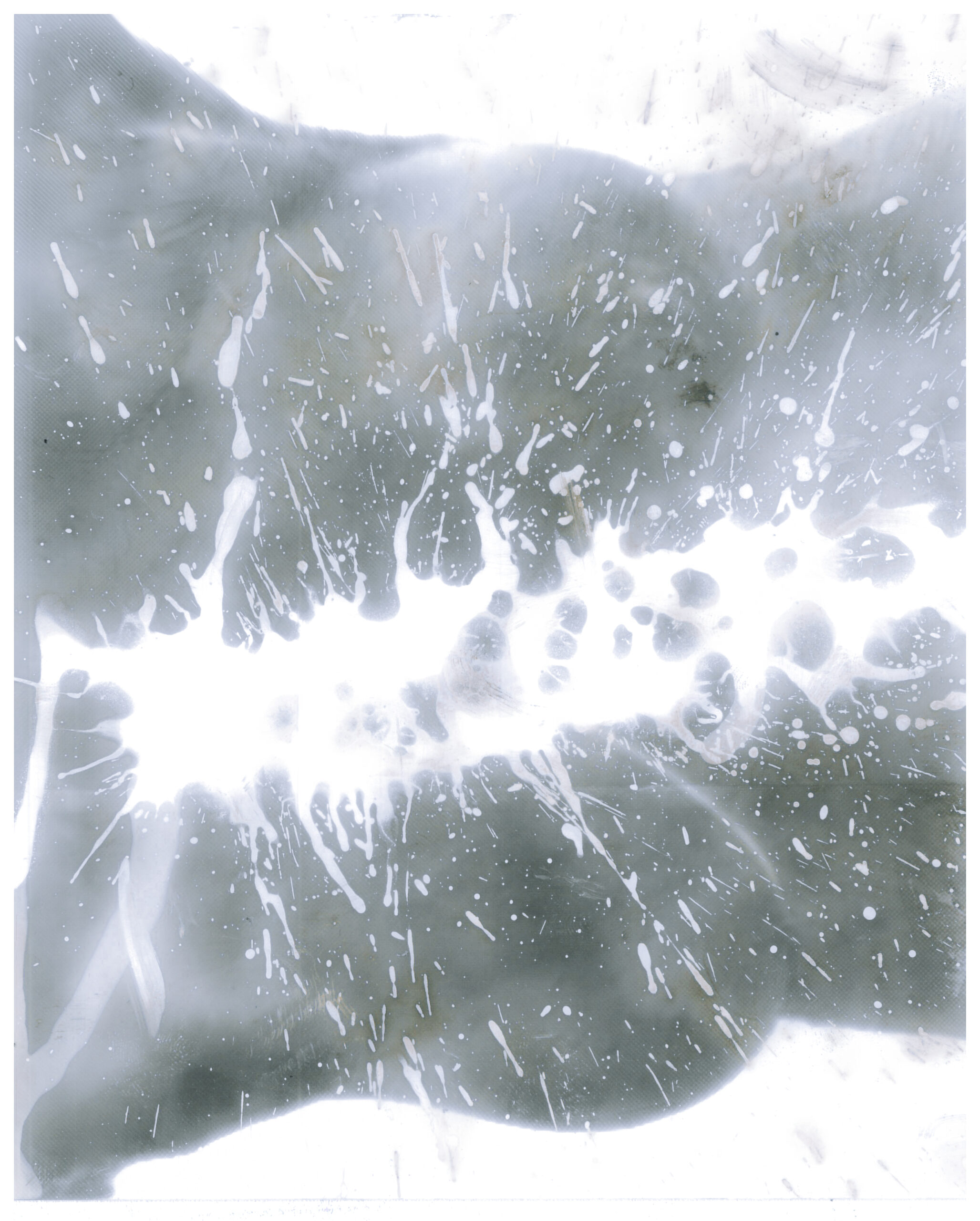 photogram, analogue, chemigram, black and white, female body, act, body