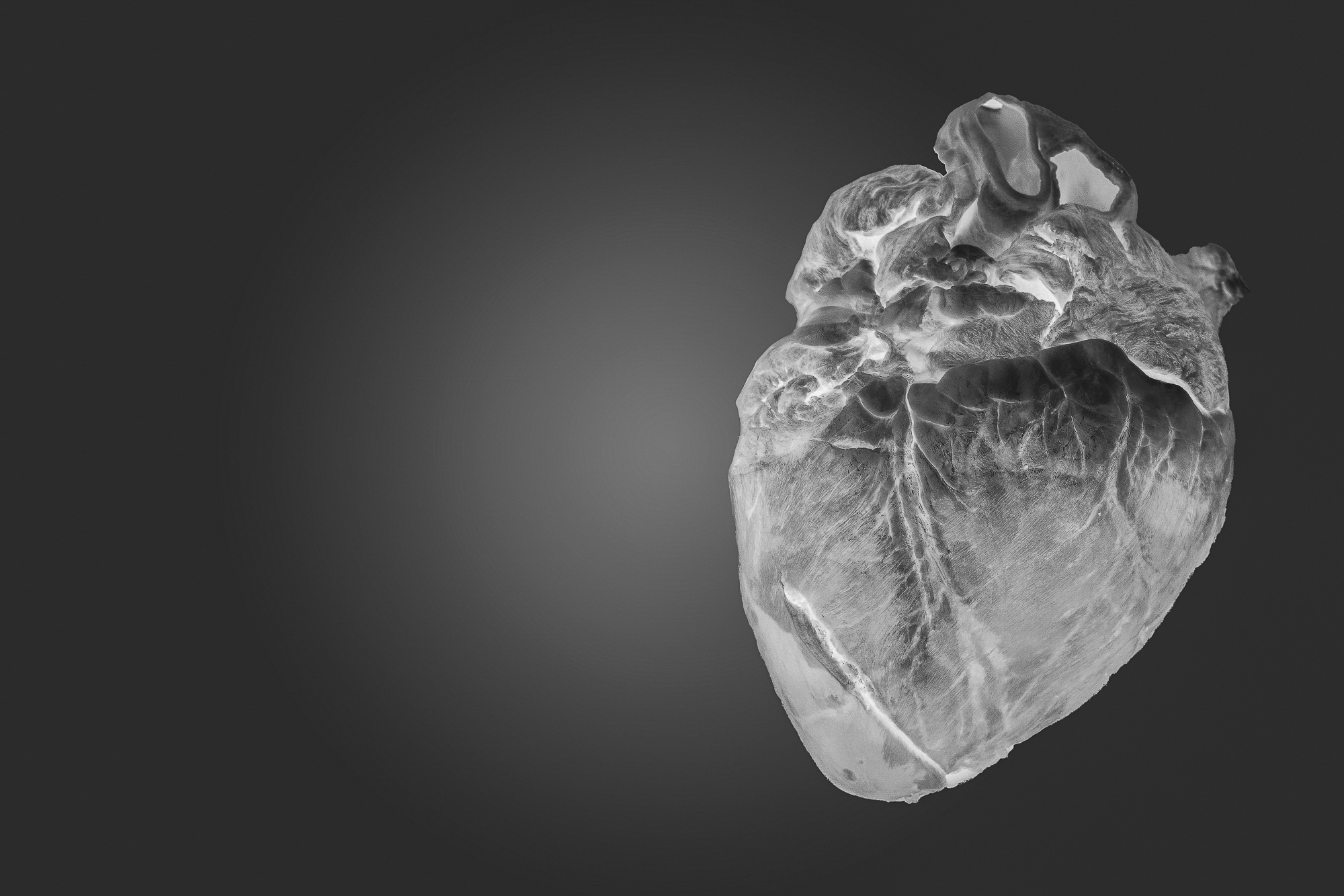 statement, microscope, art and science, black and white, grotesque, chicken