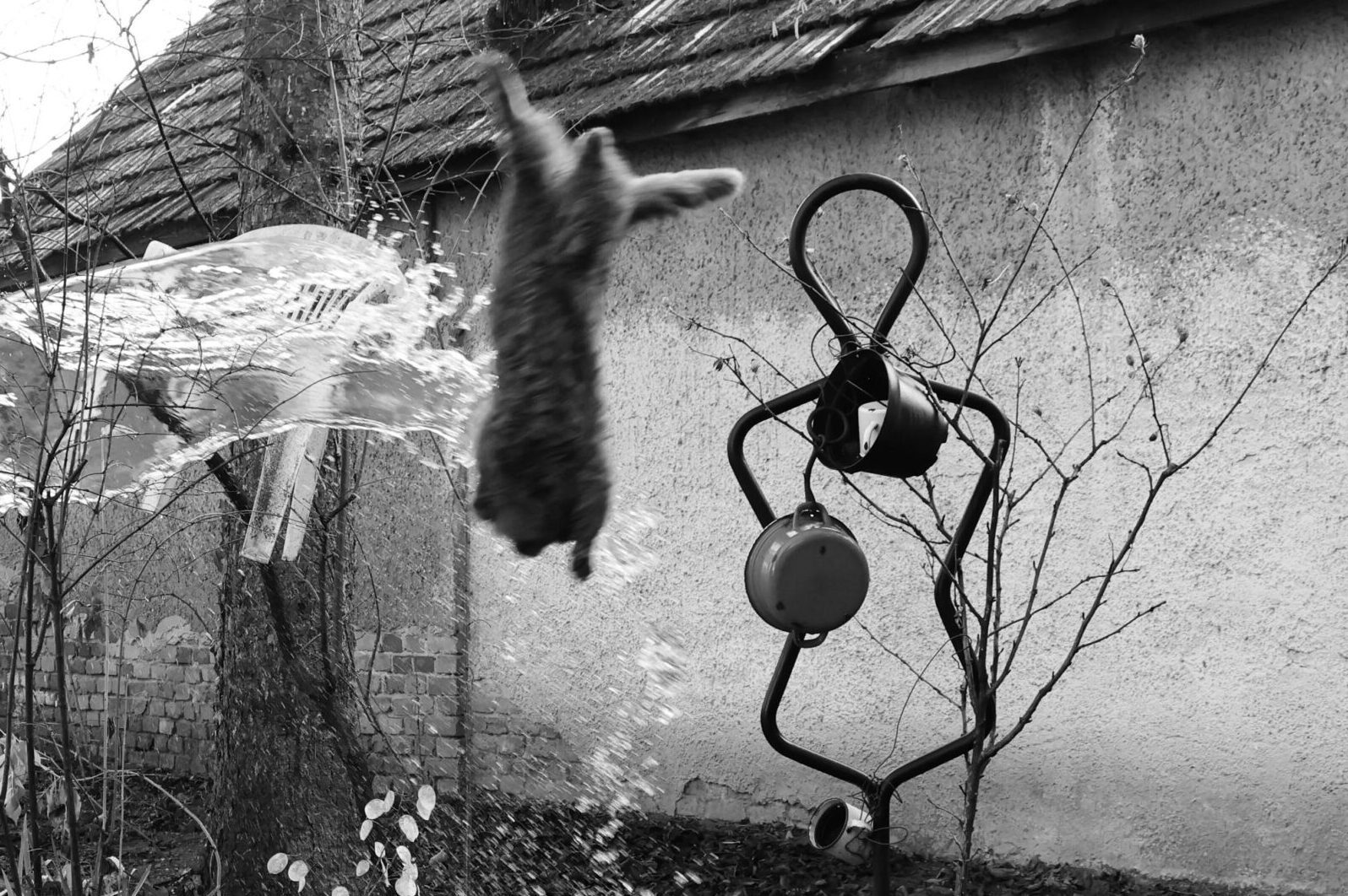 surrealism, surreal, dali, salvador dali, dali atomicus, flying cats, halsman, philippe halsman, photography, contemporary photography, art, black and white, eastern europe, grotesque