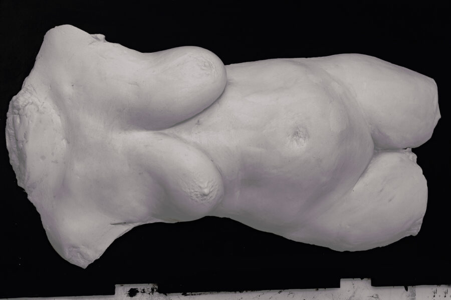 art, the horse, body, selfportrait, plaster, plaster cast, casting, selfobjectification