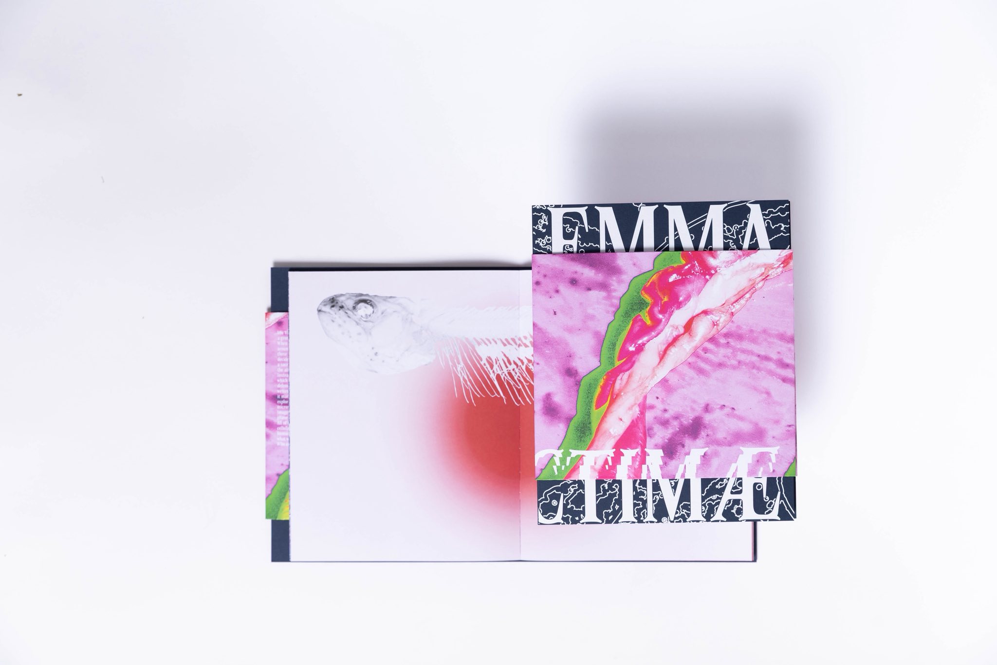 vox victimae, achievements, photobook, publishing, emma varga, artist book, grotesque, art and science, microscope, microscopic imaging, contemporary photography