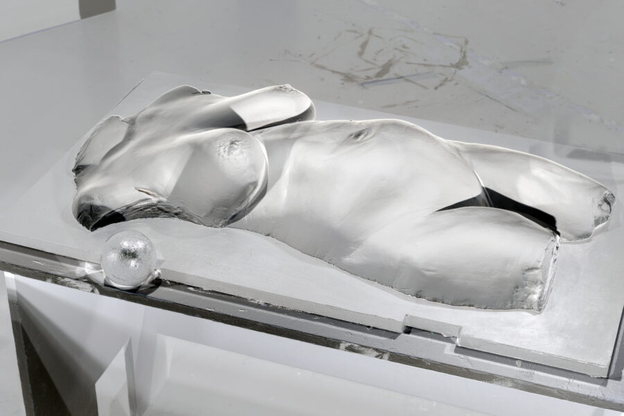 art, the horse, body, selfportrait, plaster, plaster cast, casting, selfobjectification