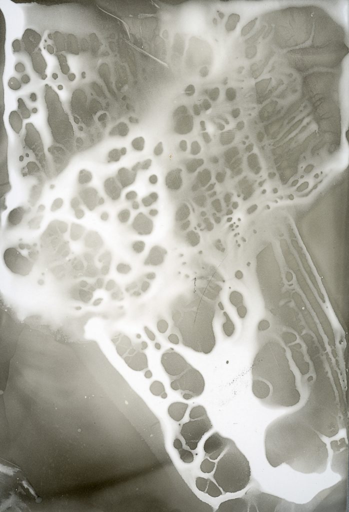 chemigram, photogram, analog, analog photography, contemporary photography, cameraless photography