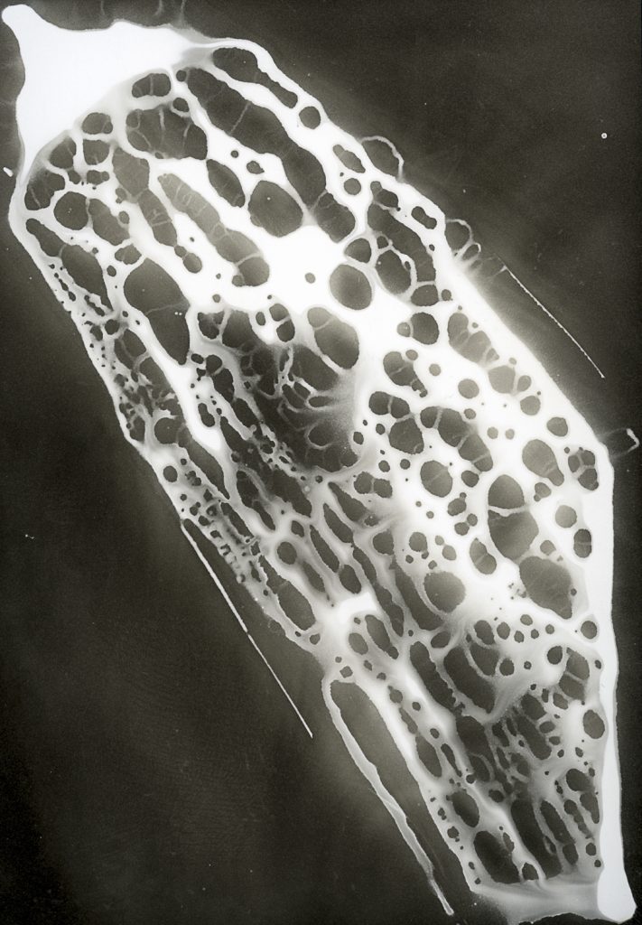 chemigram, photogram, analog, analog photography, contemporary photography, cameraless photography