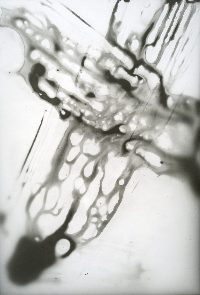 chemigram, photogram, analog, analog photography, contemporary photography, cameraless photography