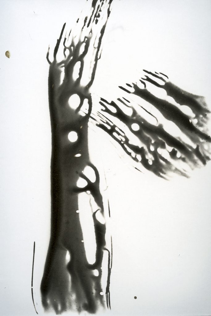 chemigram, photogram, analog, analog photography, contemporary photography, cameraless photography
